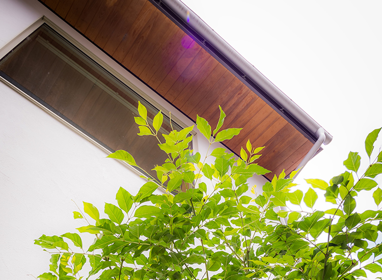 パッシブデザインを取り入れ自然と共存する暮らしを