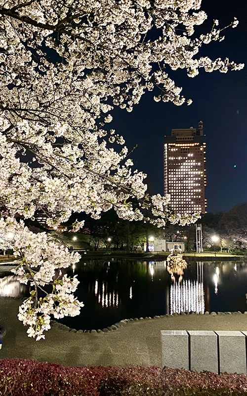 子育てに良い家づくりって？①